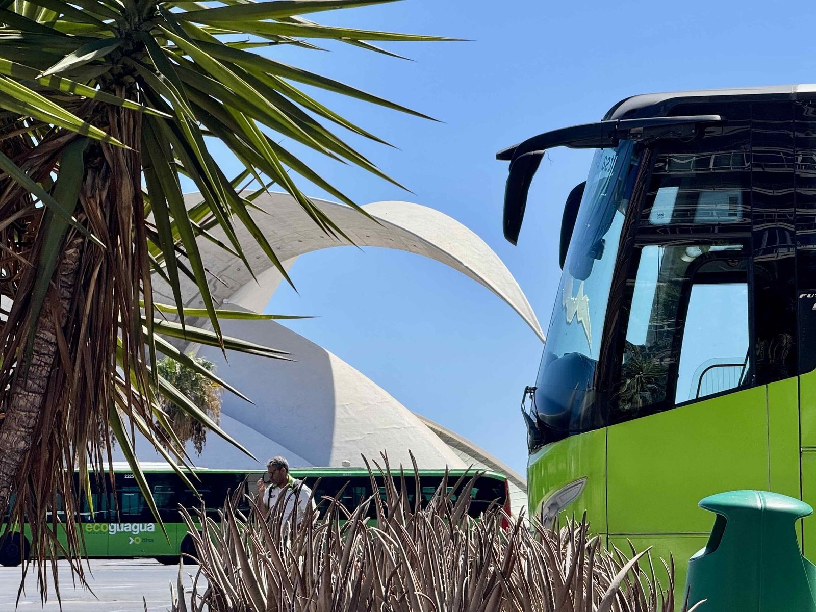 Island network buses beside the Tenerife Auditorium